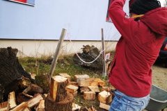 Eine Mitbewohnerin hackt Holz.