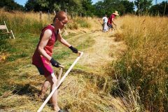 Die ersten Büschel Gras fallen.