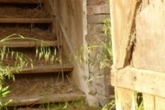 cropped-header_scheuentuer-1